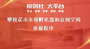 攀枝花市市級(jí)孵化器和眾創(chuàng)空間申報(bào)程序獎(jiǎng)補(bǔ)政策