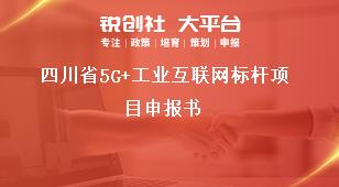 四川省5G+工業(yè)互聯(lián)網(wǎng)標(biāo)桿項目申報書獎補政策
