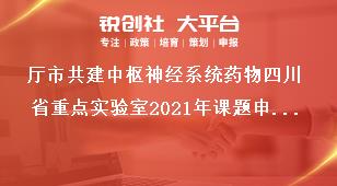 廳市共建中樞神經系統藥物四川省重點實驗室2021年課題申請材料獎補政策
